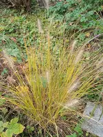 IMG_20231028_141509_1.webp