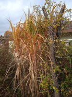 IMG_20231028_142047.jpg