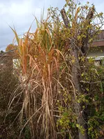IMG_20231028_142047.webp