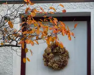P1420315.webp