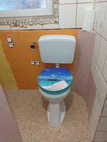 IMG_20231027_160213.jpg