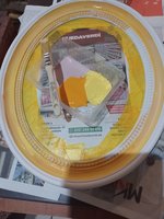 IMG_20231029_131512.jpg