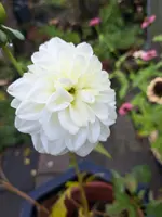 20231030_122336.webp