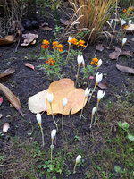 20231030_093713.jpg