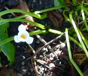 P1420240.webp