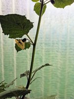 IMG_20231030_153618.jpg