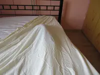 IMG_2307.webp