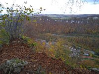 IMG_20231031_135005.jpg