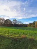 20231031_160632.webp