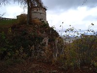 IMG_20231031_135021_1.jpg