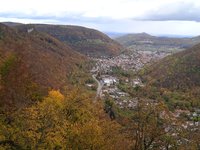 IMG_20231031_135439.jpg