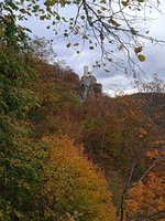 IMG_20231031_140433_1.jpg