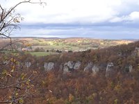 IMG_20231031_140515.jpg