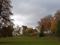 IMG_20231031_142103.jpg