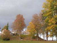 IMG_20231031_142357_1.jpg