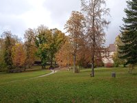 IMG_20231031_142631.jpg