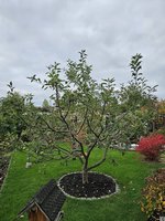 20231026_111818.jpg