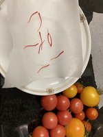 IMG_3697.jpeg