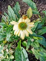 IMG_20231102_123749.webp