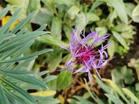 IMG_20231102_123845.jpg