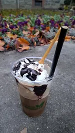IMG-20231102-WA0008.webp