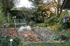 Nov.0116.webp