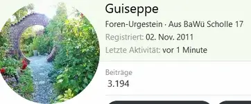 Guiseppe.webp