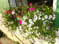DSC03191.JPG