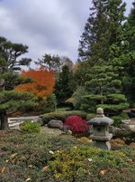 IMG_20231104_125850.jpg