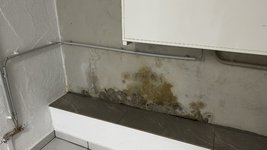 IMG_6698.jpeg
