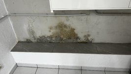 IMG_6695.jpeg