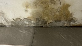 IMG_6696.jpeg