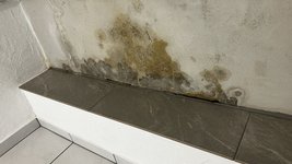 IMG_6697.jpeg