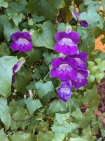 PXL_20231103_111816454.jpg