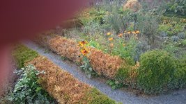 DSC_0082 (1).JPG