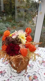 20231031_095219.webp