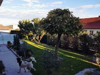 IMG_20231105_151927.jpg