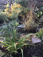 IMG_4307.jpeg
