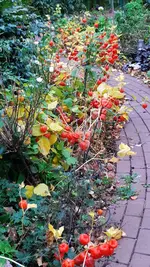 20231103_103041.webp