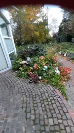 20231103_102950.webp