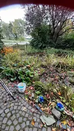 20231102_104306.webp