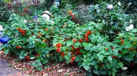 20231016_162029.webp