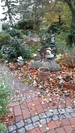 20231105_101308.webp