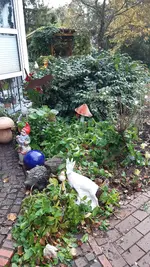 20231105_101204.webp