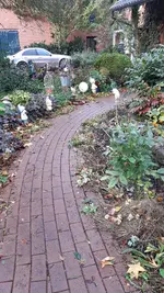 20231105_101111.webp