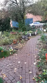 20231105_101032.webp