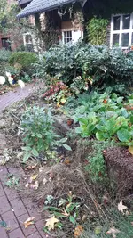 20231105_101104.webp