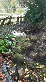 20231105_100729.webp