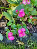 20231106_095131.jpg