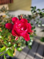 20231106_095059.jpg